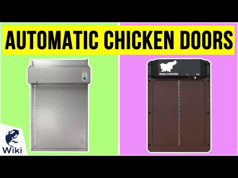 Read more about the article 10 Best Automatic Chicken Doors 2020
