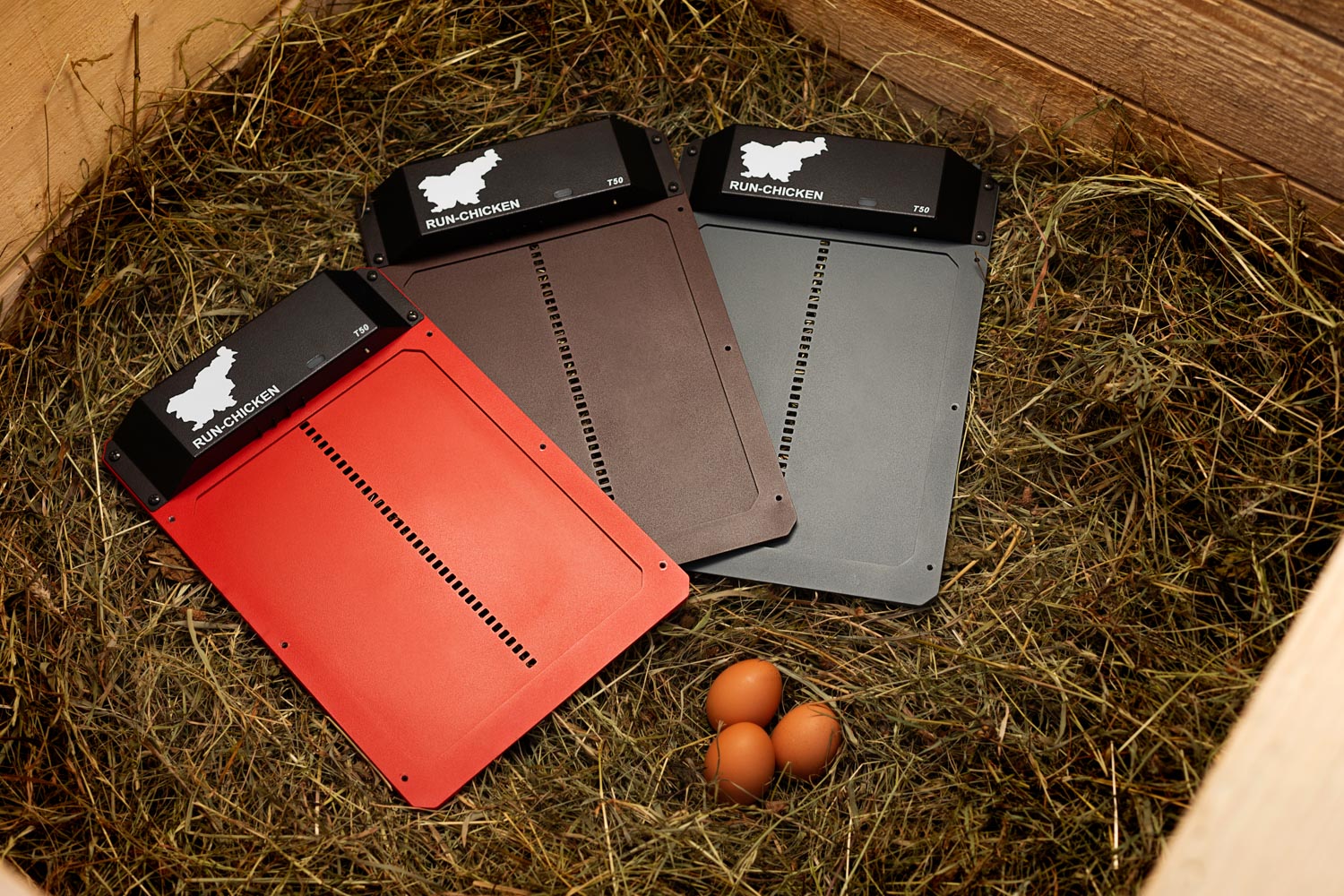 Read more about the article Best gifts for chicken keepers