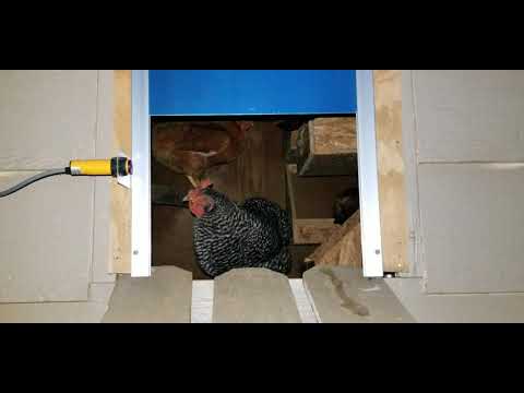 Read more about the article Amazon INWAVE automatic chicken coop door with timer