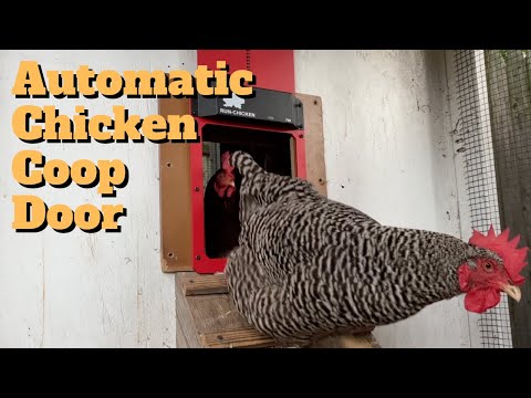 You are currently viewing Automate Your Chicken Coop Door