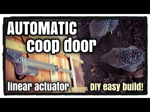 Read more about the article Automatic Chicken Coop Door (DIY Easy Build!)