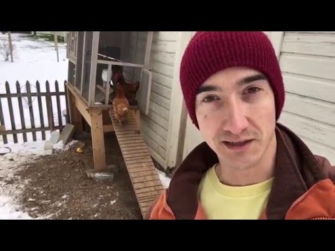 You are currently viewing Automatic Chicken Coop Door DIY