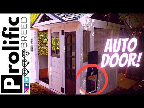 You are currently viewing AUTOMATIC CHICKEN COOP DOOR INSTALL | RUN-CHICKEN T50