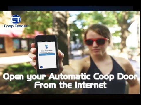 You are currently viewing Automatic Chicken Coop Door – Open Coop Door From Internet