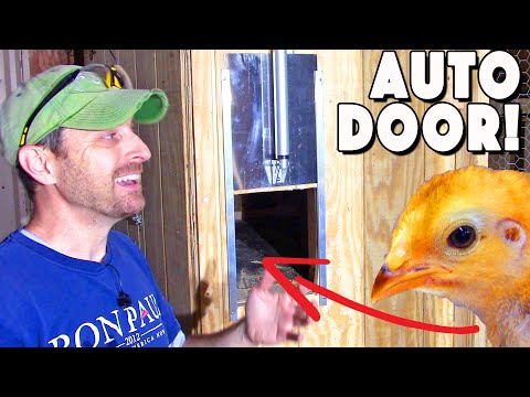 Read more about the article Automatic Chicken Coop Door Opener And Closer | Happy Hen House Installation