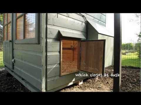 Read more about the article Automatic Chicken Coop Door with wiring diagram