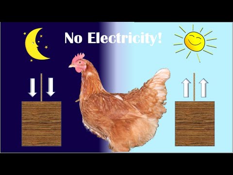 Read more about the article Automatic Chicken Door Opener–No Electricity, No Batteries.  Chicken Controlled.