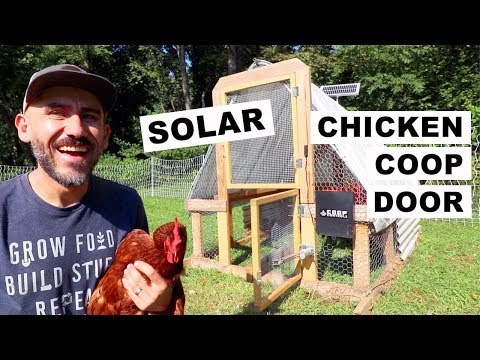 You are currently viewing Automatic (SOLAR) Chicken Coop DOOR | INSTALL