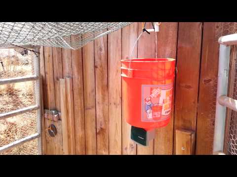 Read more about the article Automatic water powered chicken coop door opener