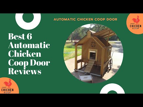 Read more about the article Best 6 Automatic chicken Coop Door Reviews | Automatic Chicken Coop Door Idea with Cheeper Keeper