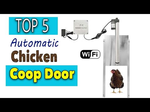 You are currently viewing Best Automatic Chicken Coop Door Solar