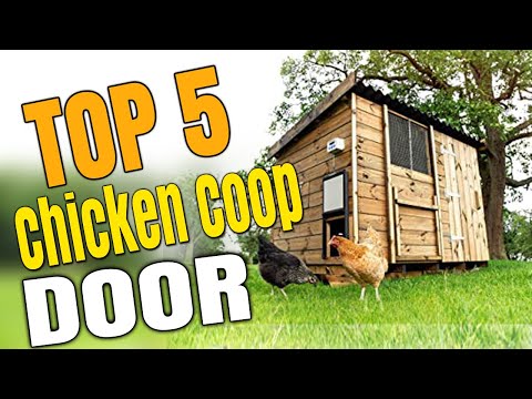 You are currently viewing Best Solar Powered Chicken Coop Door With Timer