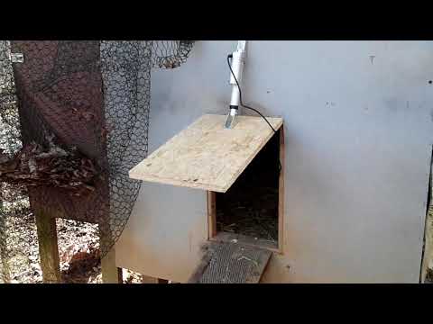 You are currently viewing Chicken Coop Door Opener – Linear Actuator- Works GREAT