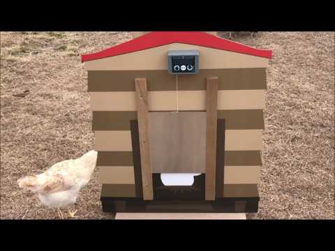 Read more about the article ChickenGuard Automatic Chicken Coop Door Opener Intro