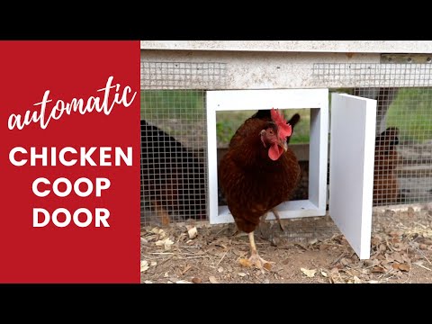 You are currently viewing DIY Automatic Chicken Coop Door