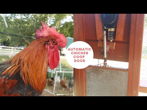 Read more about the article Easy Automatic Chicken Coop Door – Part 1