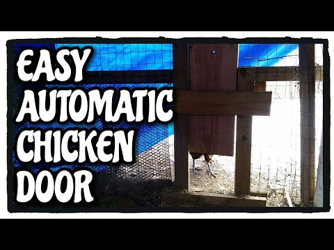 You are currently viewing EASY AUTOMATIC CHICKEN DOOR | DIY Coop Door Timer