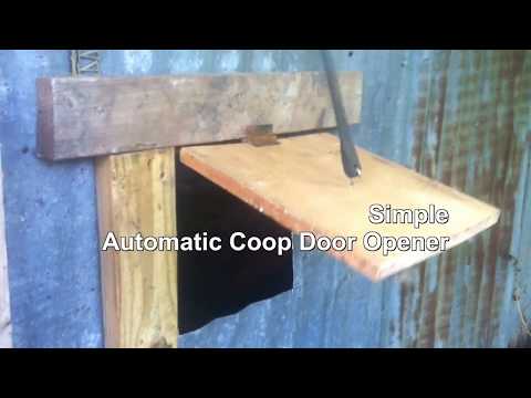 You are currently viewing Easy DIY Morning Automatic Chicken Coop Door Opener made from Junk