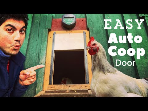Read more about the article EASY INSTALL Automatic Chicken Coop Door