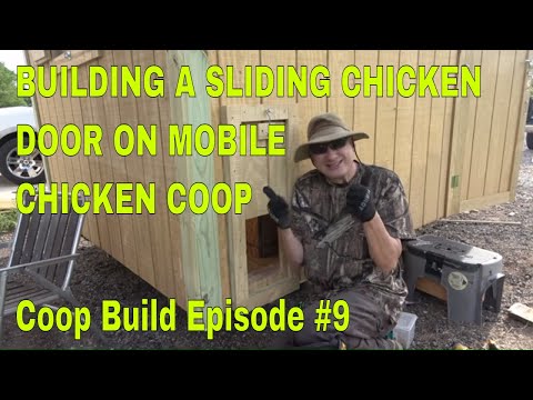 You are currently viewing External Chicken Coop Door and Ramp and Automatic Coop Door Opener installation:  Homesteading Video
