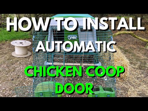 Read more about the article HOW TO install a Omlet chicken coop automatic door 🐥| Auto door by Omlet