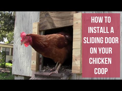 Read more about the article How To Install a Sliding Door on Your Chicken Coop
