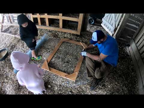 Read more about the article How To Make A Small Door | Chicken Coop Door
