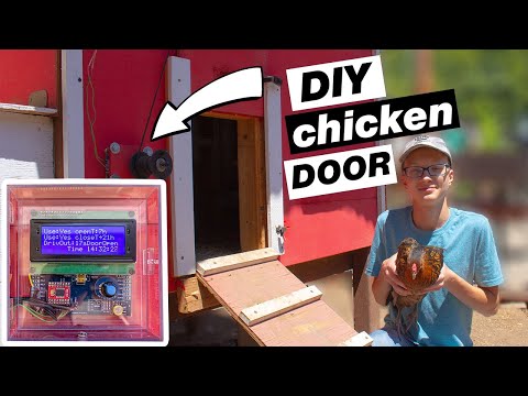 You are currently viewing I Made An Automatic Chicken Coop Door For Chickens!