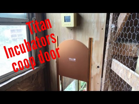 You are currently viewing Installing a Titan Incubators Automatic Chicken Coop Door