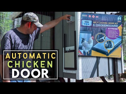 You are currently viewing INSTALLING AN AUTOMATIC CHICKEN DOOR 🚪🐓 | ChickenGuard Extreme | Building a Chicken Coop