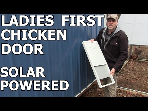 You are currently viewing Installing the Ladies First chicken door – Automatic chicken coop door