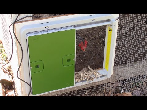 Read more about the article Omlet Autodoor Automatic Chicken Coop Door TORTURE TEST of Reliability, Battery Life, and Safety