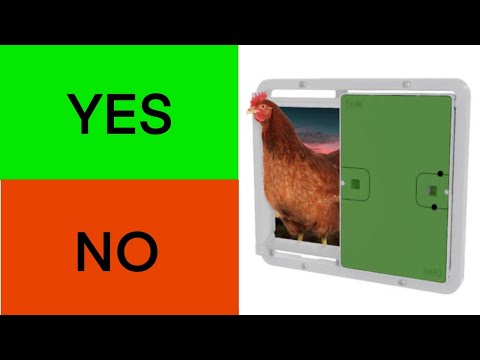 You are currently viewing OMLET CHICKEN COOP DOOR REVIEW | 3 MONTHS AFTER INSTALLATION, WHAT DO I THINK?