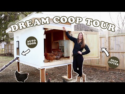 You are currently viewing OUR DREAM CHICKEN COOP | Minimal Care Poultry Housing | DIY Efficient Design for Backyard Homestead