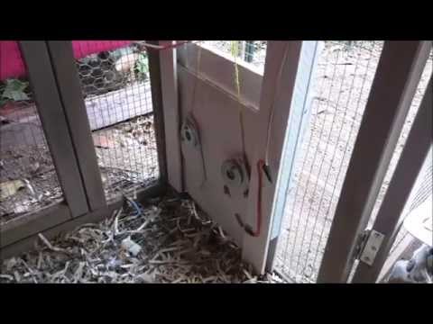 You are currently viewing Raspberry Pi Controlled Chicken Coop Door