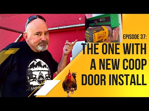 Read more about the article Season One: Episode 37: The One With A New Coop Door Install