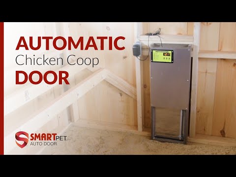 You are currently viewing The New Automatic Chicken Coop Door Opener | Pet Auto Doors