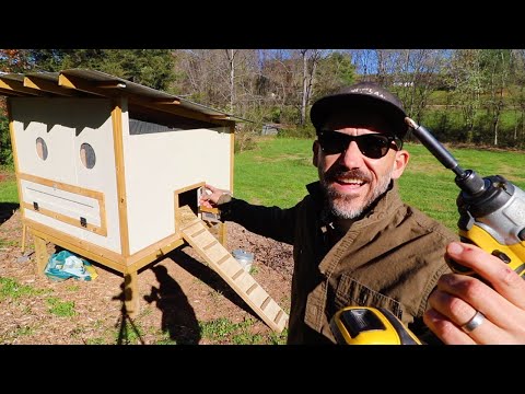 You are currently viewing This Chicken Coop Door is Causing Me Trouble VLOG