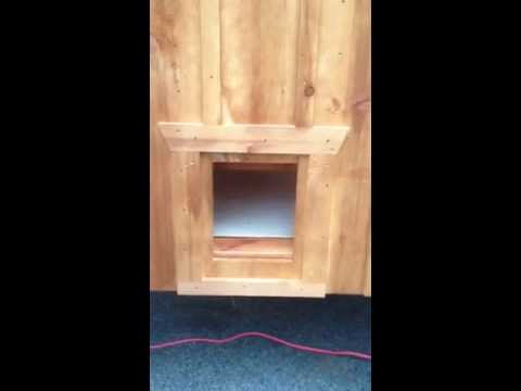 You are currently viewing Automatic Chicken Coop Door