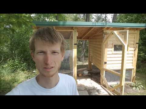 Read more about the article Automatic chicken coop door. No electricity required!