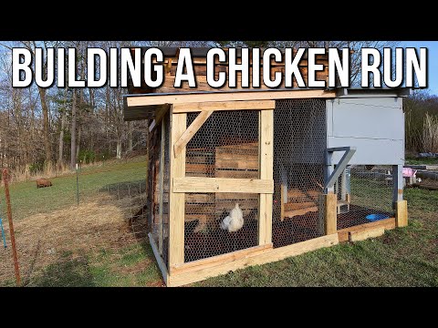 Read more about the article Building a Chicken Run – Scrap Wood Chicken Coop Build # 11