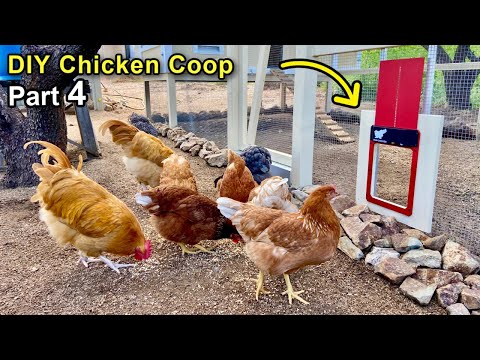 Read more about the article Building a DIY Chicken Coop Part 4  – Automatic Door & The Coop Floor