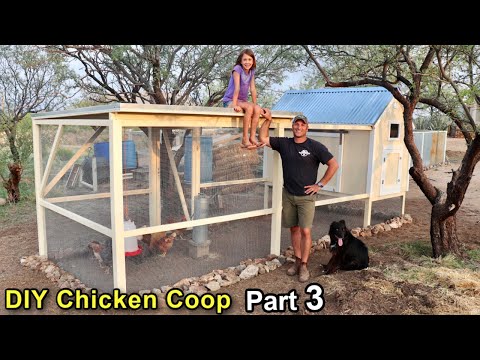 Read more about the article Building DIY Chicken Coop Build – Part 3 (Coop Run)
