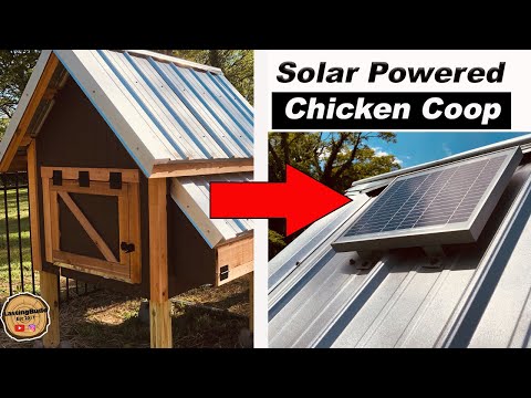 You are currently viewing Chicken Coop with A Solar Powered Door and Light