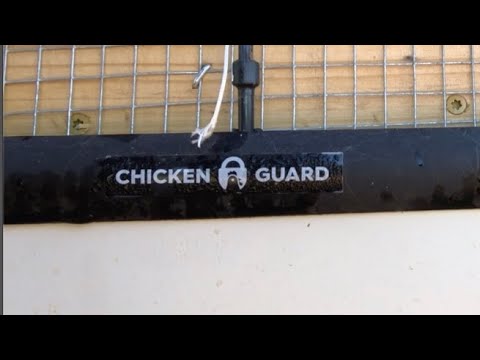 You are currently viewing Chicken Guard Automatic Coop Door Review
