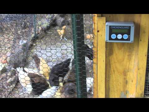 You are currently viewing Chicken Guard Review Best Automatic door on the market – Light sensor / Battery powered