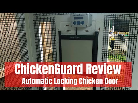 You are currently viewing ChickenGuard Review – Automatic Locking Chicken Door