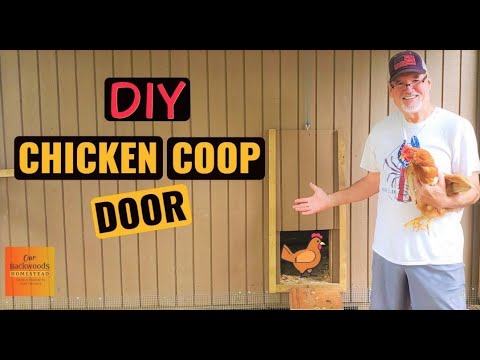 You are currently viewing Coop Door to Run Installed / Run Overview #chickendoor #chickencoopdoor #chickenrun