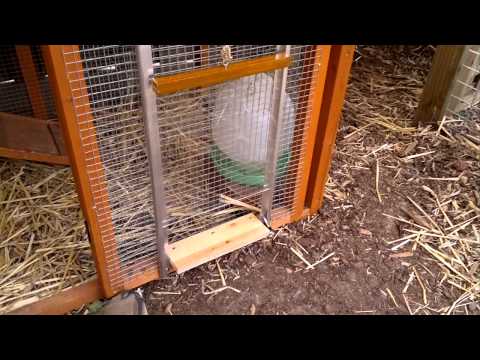 Read more about the article DIY Automatic Chicken Coop Door