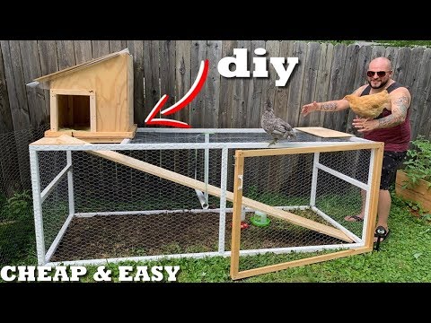 You are currently viewing DIY CHICKEN COOP and RUN (Cheap & Easy)